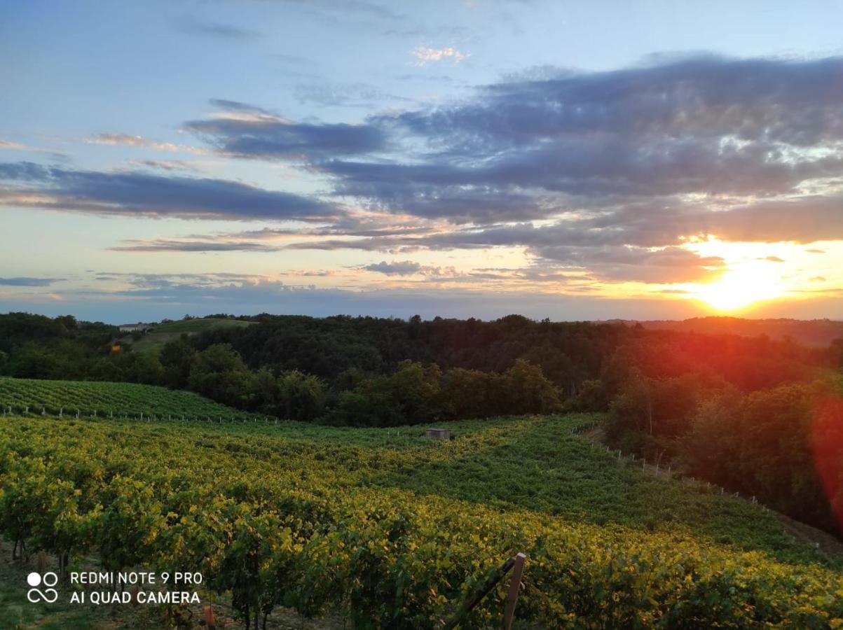 Oasi Del Monferrato - Appartamento Rosso Mombercelli Buitenkant foto